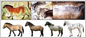Fenotipos de caballos representados en el arte paleolítico: Lascaux (bayo), Chauvet (negro) y Pech-Merle (“leopardo”)